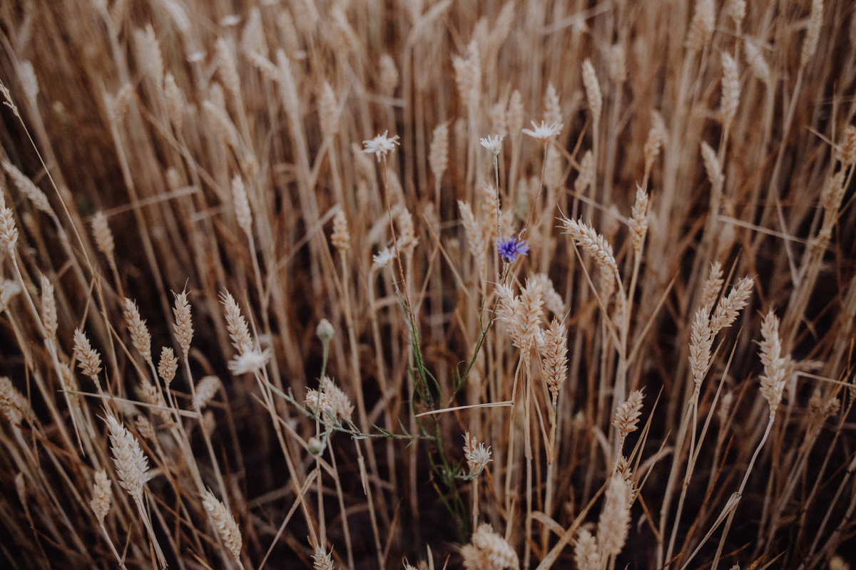 Fläming Kunstwanderweg Gut Schmerwitz