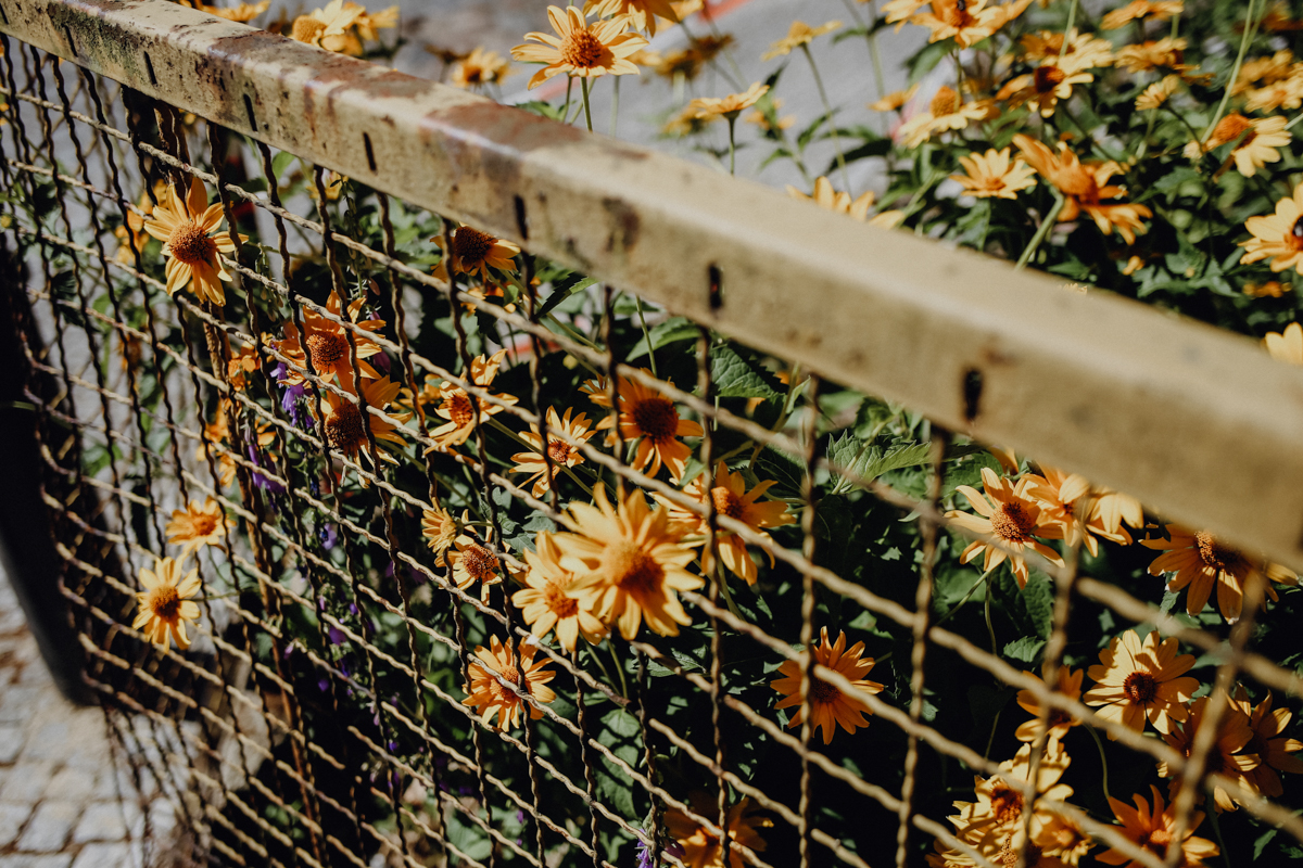 Fläming Wandern Kunstwanderweg Bad Belzig