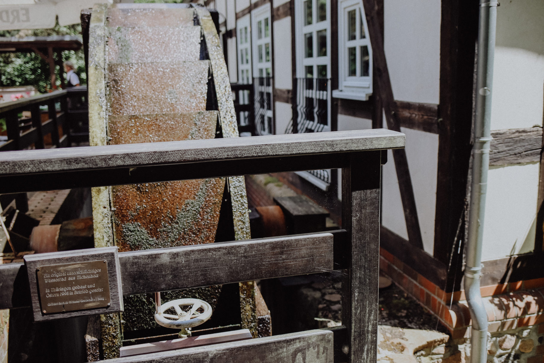 Fläming Springbachmühle Bad Belzig