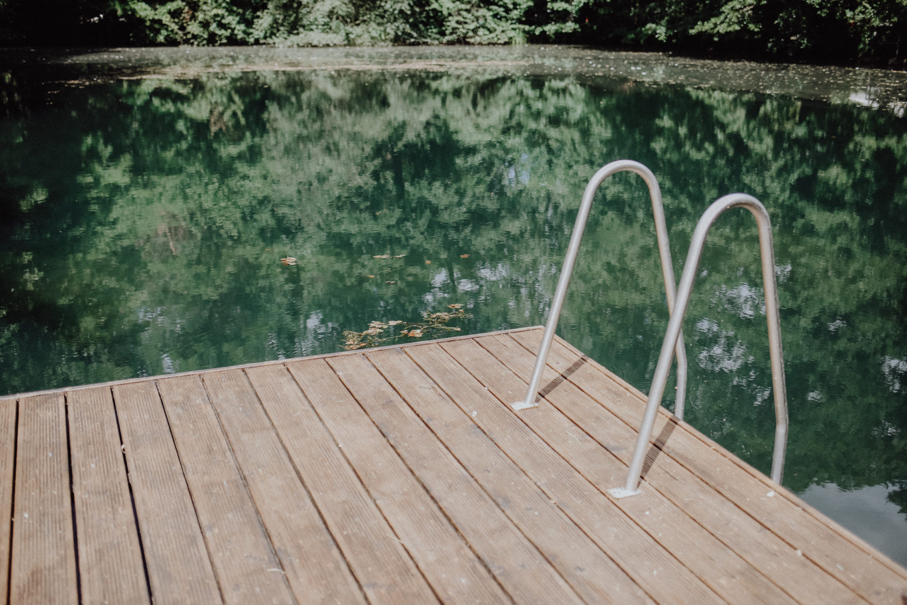 Fläming Springbachmühle Bad Belzig