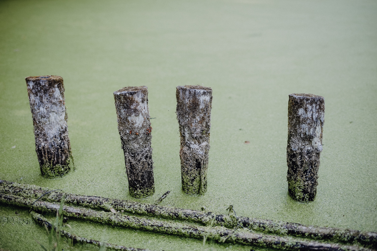 Fläming Wandern Kunstwanderweg Wiesenburg