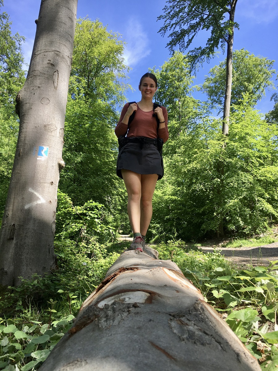 Fernwanderwege Deutschland Rheinsteig