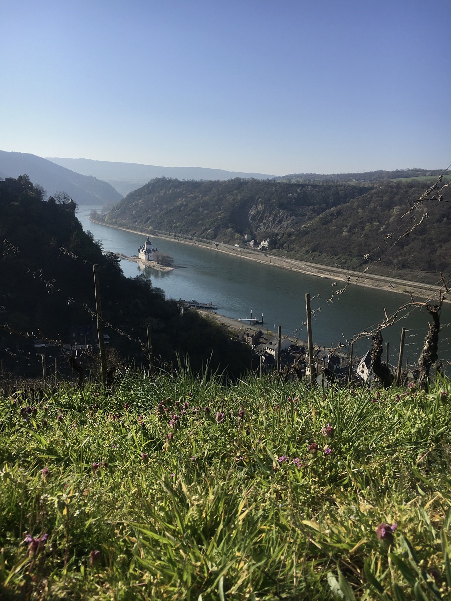 Fernwanderwege Deutschland Rheinsteig