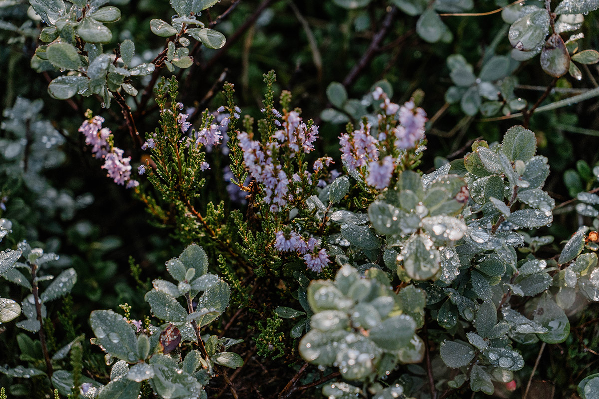 Fernwanderwege Deutschland Seensteig