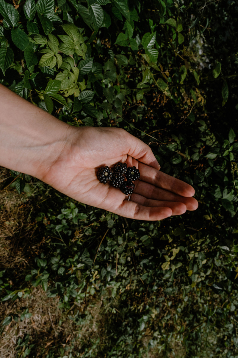 Fernwanderwege Deutschland Seensteig