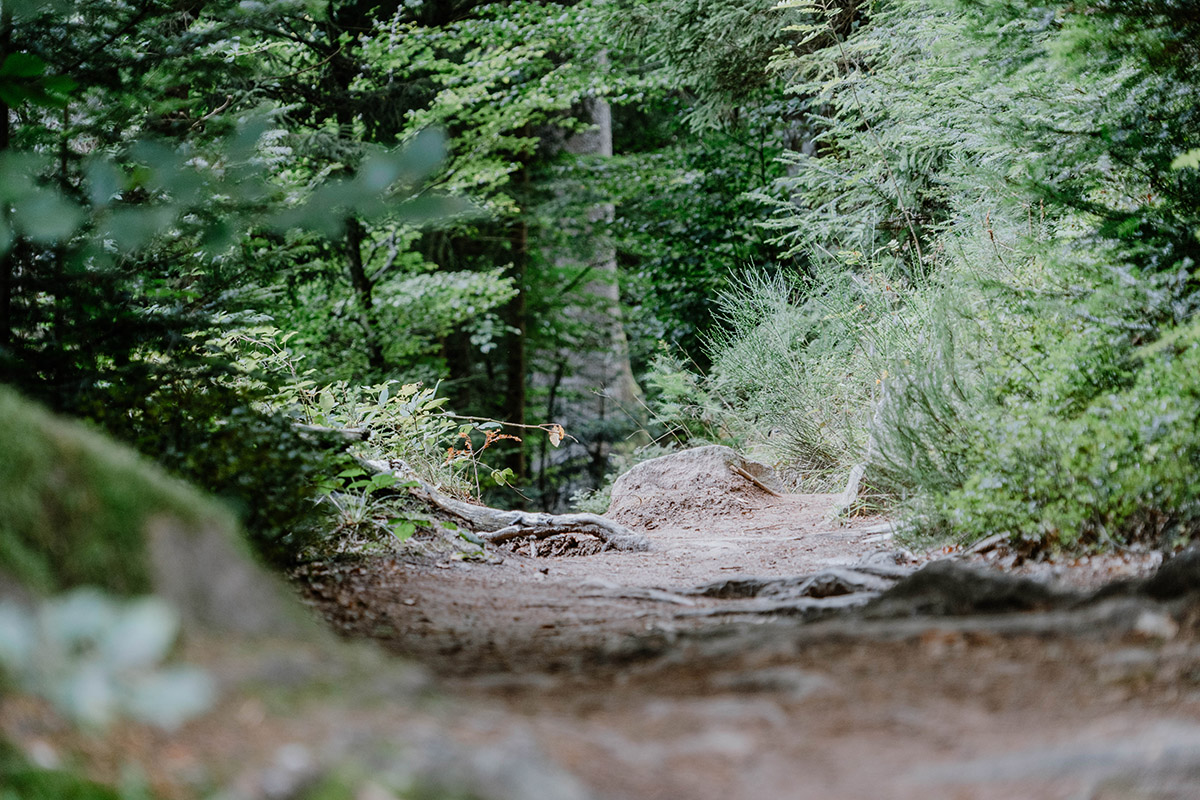 Fernwanderwege Deutschland Seensteig