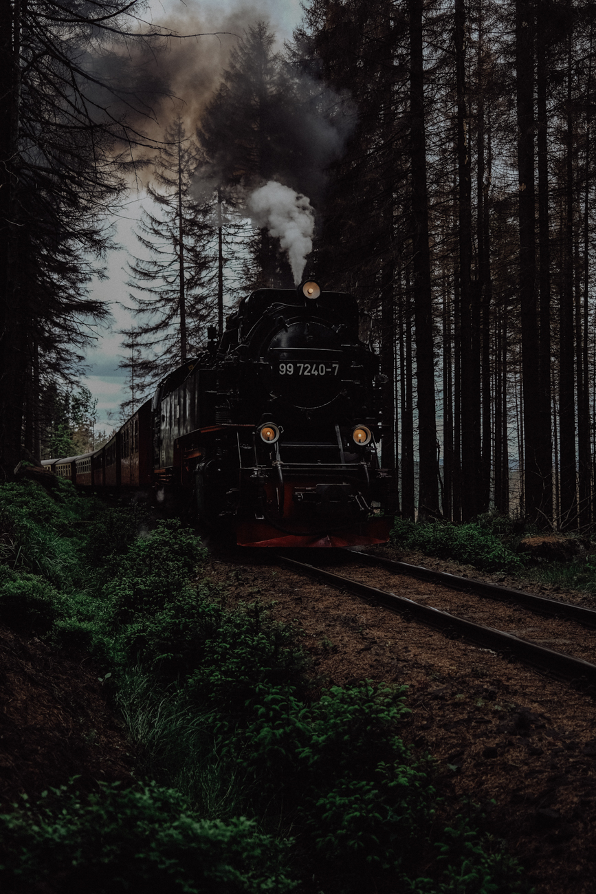 Wandern Harz Schierke Harzer Schmalspurbahn