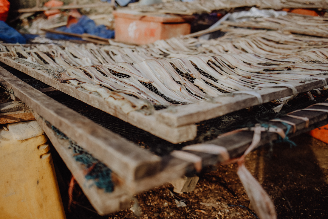 Ngapali Beach Reisetipps Gyeik Taw Hafen