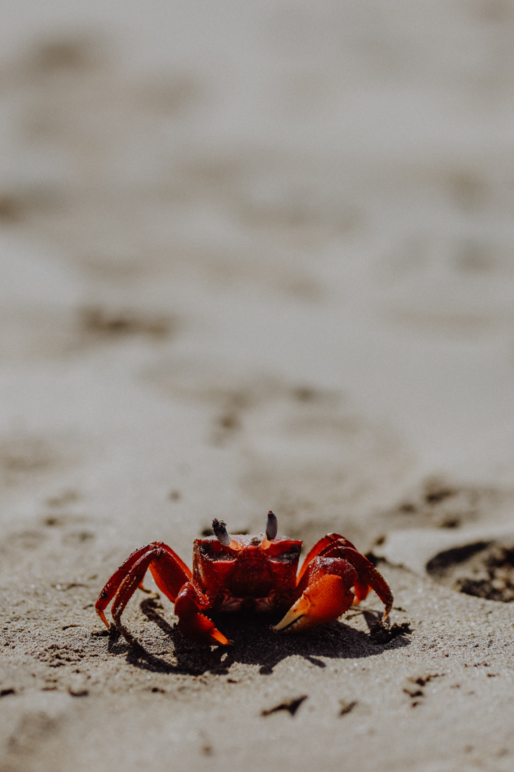 Ngapali Beach Reisetipps Strand