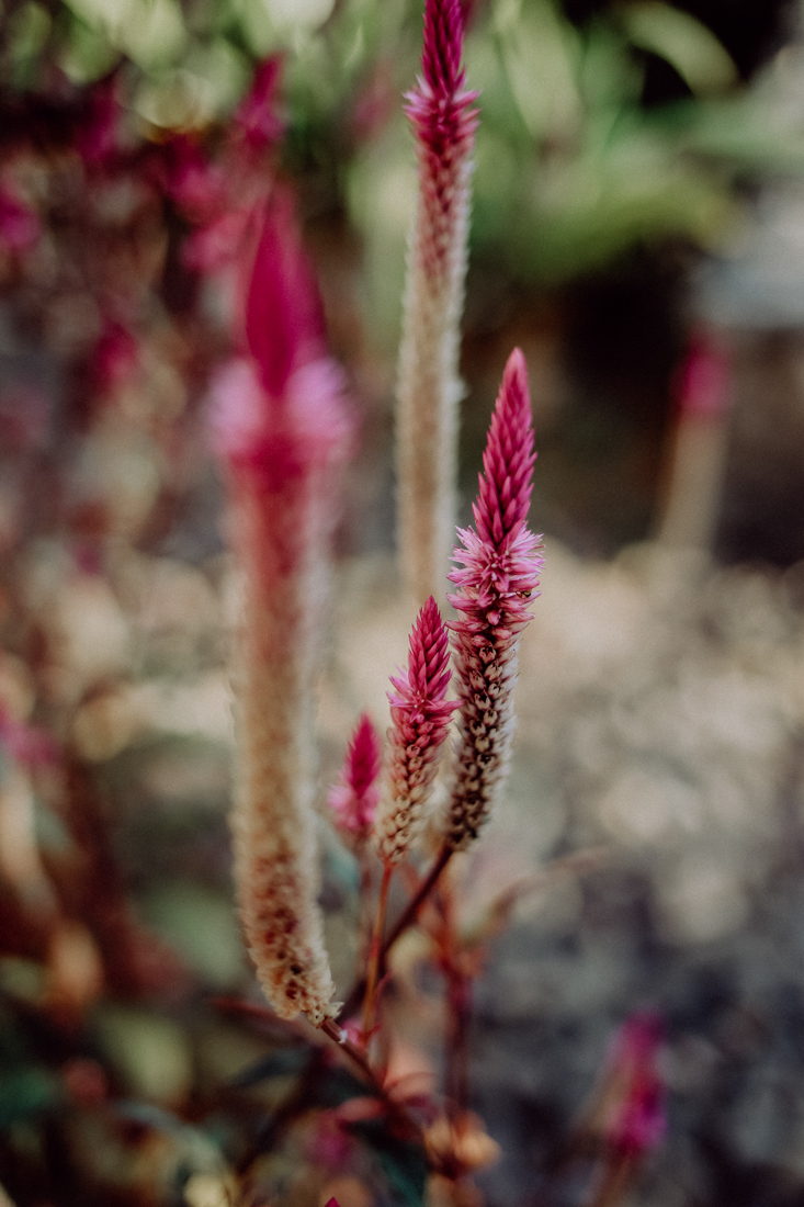 Ngapali Beach Reisetipps Ngapali Lake View Lodge