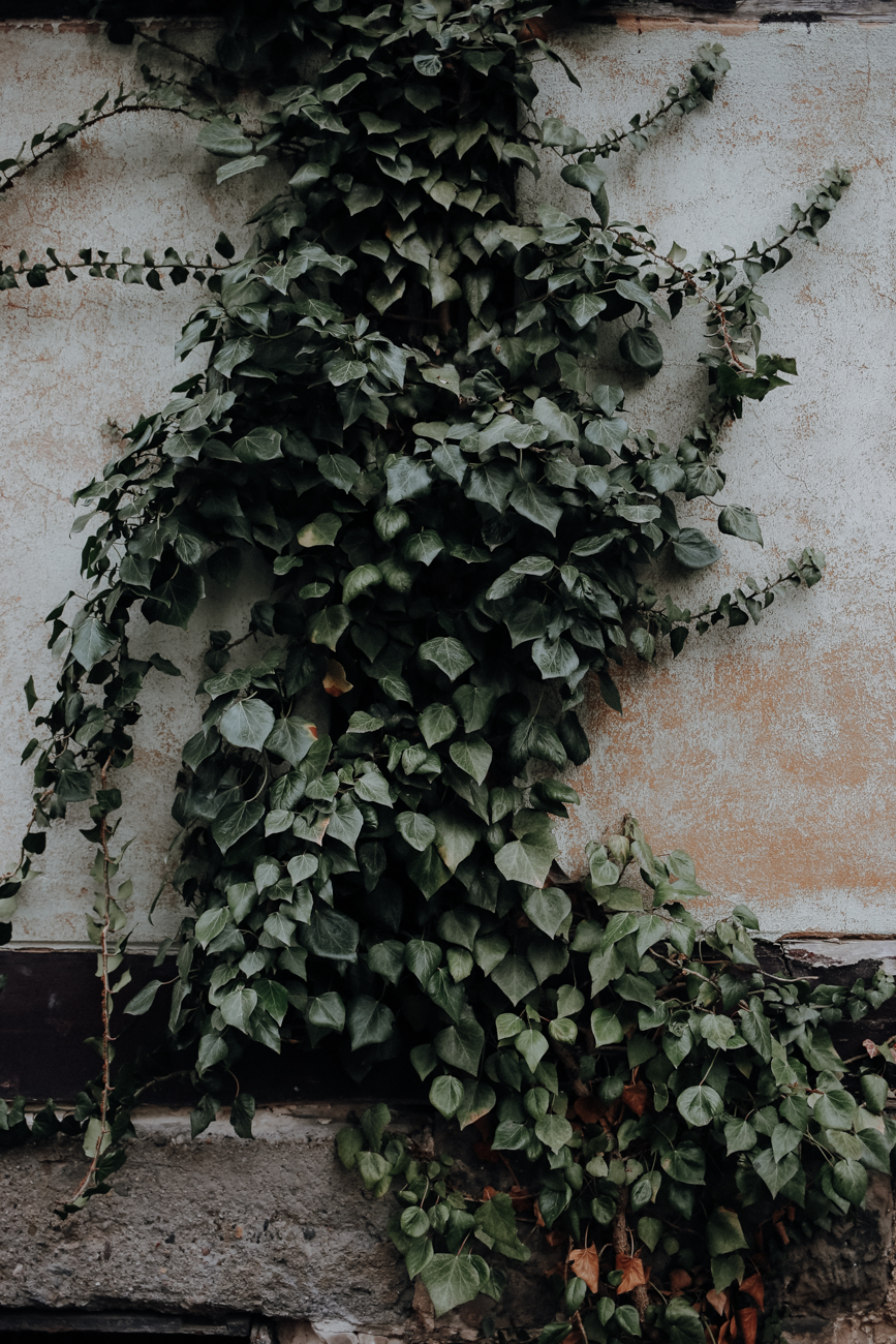 Wandern Harz Quedlinburg