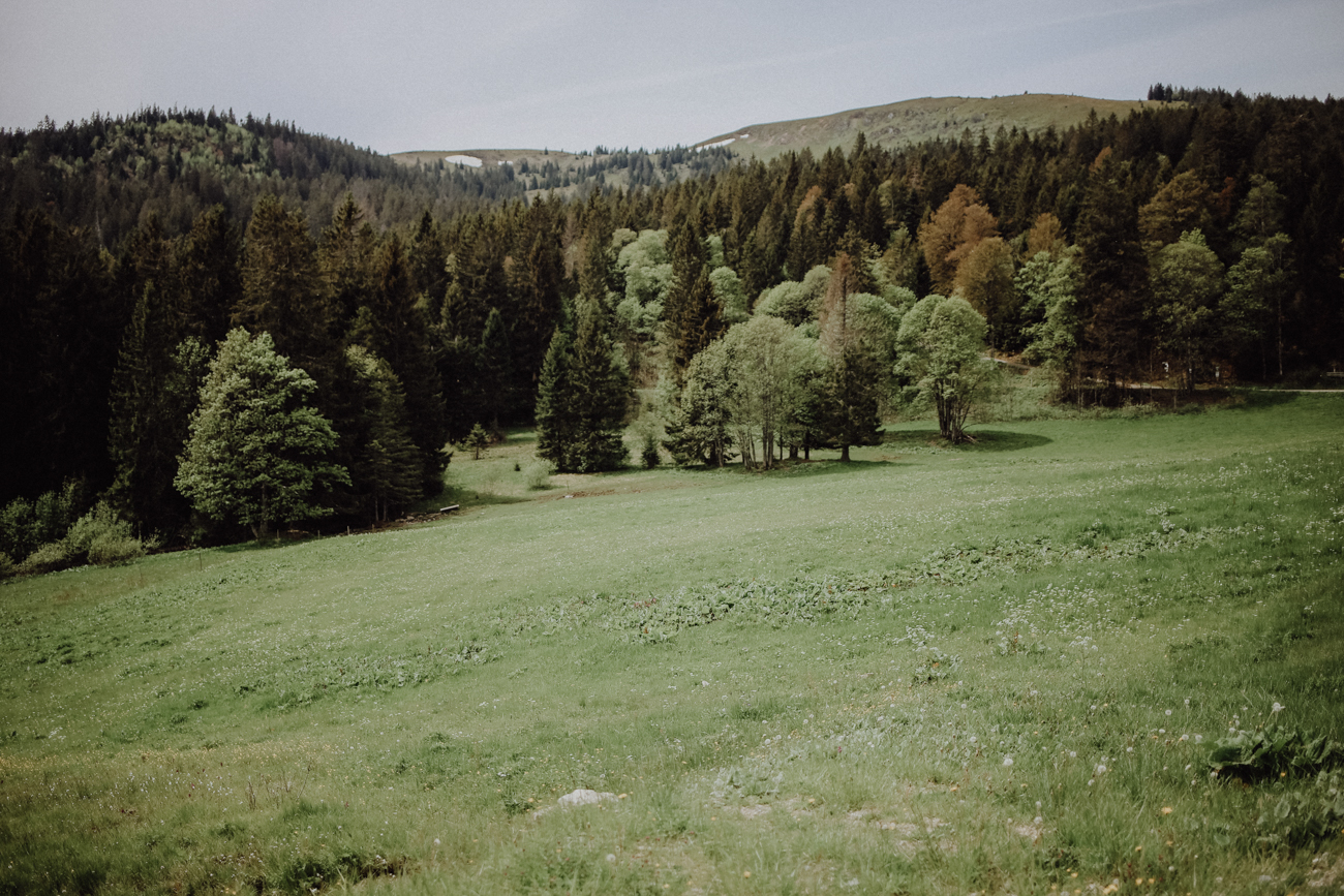 Wandern Schwarzwald Feldberg Feldbergsteig