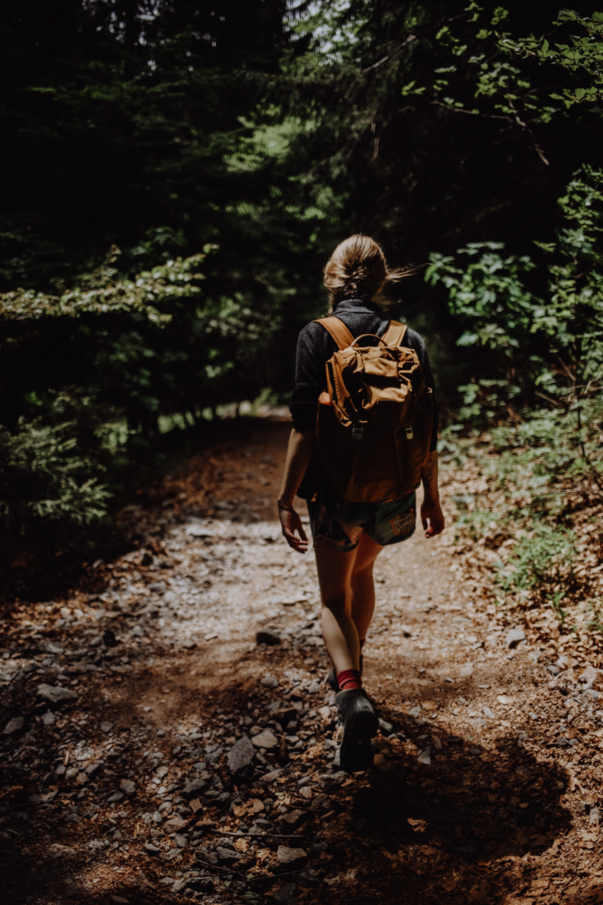 Wandern Schwarzwald Feldberg Feldbergsteig
