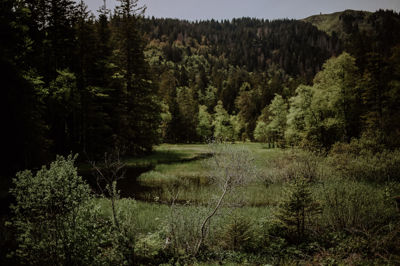 Wandern Schwarzwald Feldberg Feldbergsteig