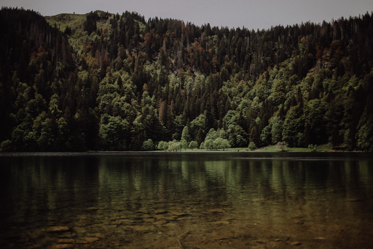 Wandern Schwarzwald Feldberg Feldbergsee Feldbergsteig