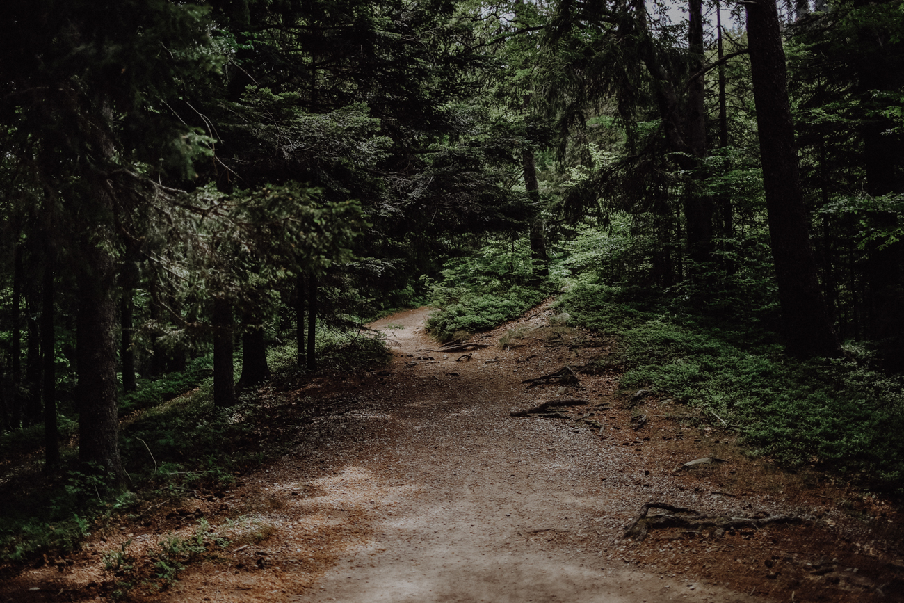 Wandern Schwarzwald Feldberg Feldbergsee Feldbergsteig