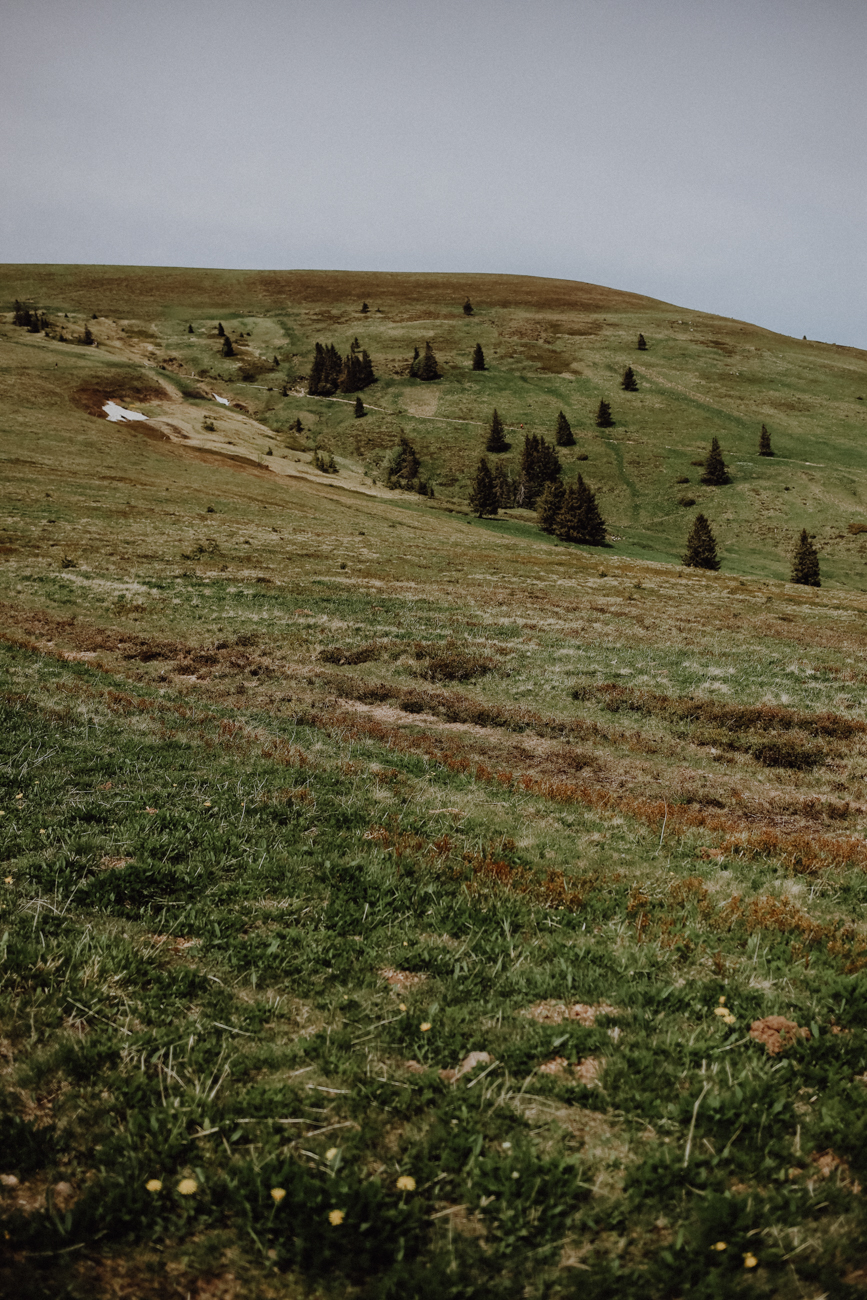 Wandern Schwarzwald Feldberg Feldbergsteig