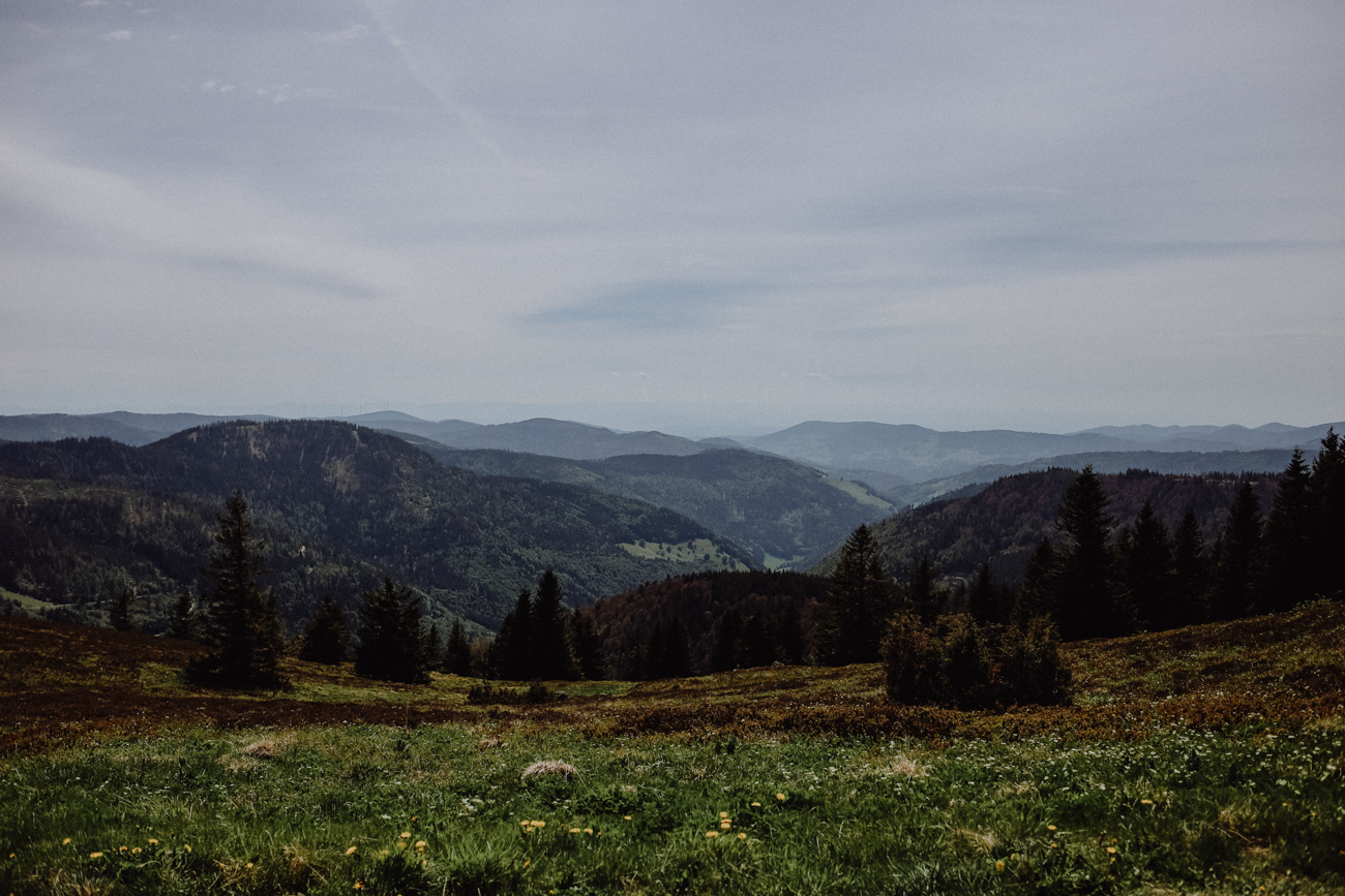 Wandern Schwarzwald Feldberg Feldbergsteig