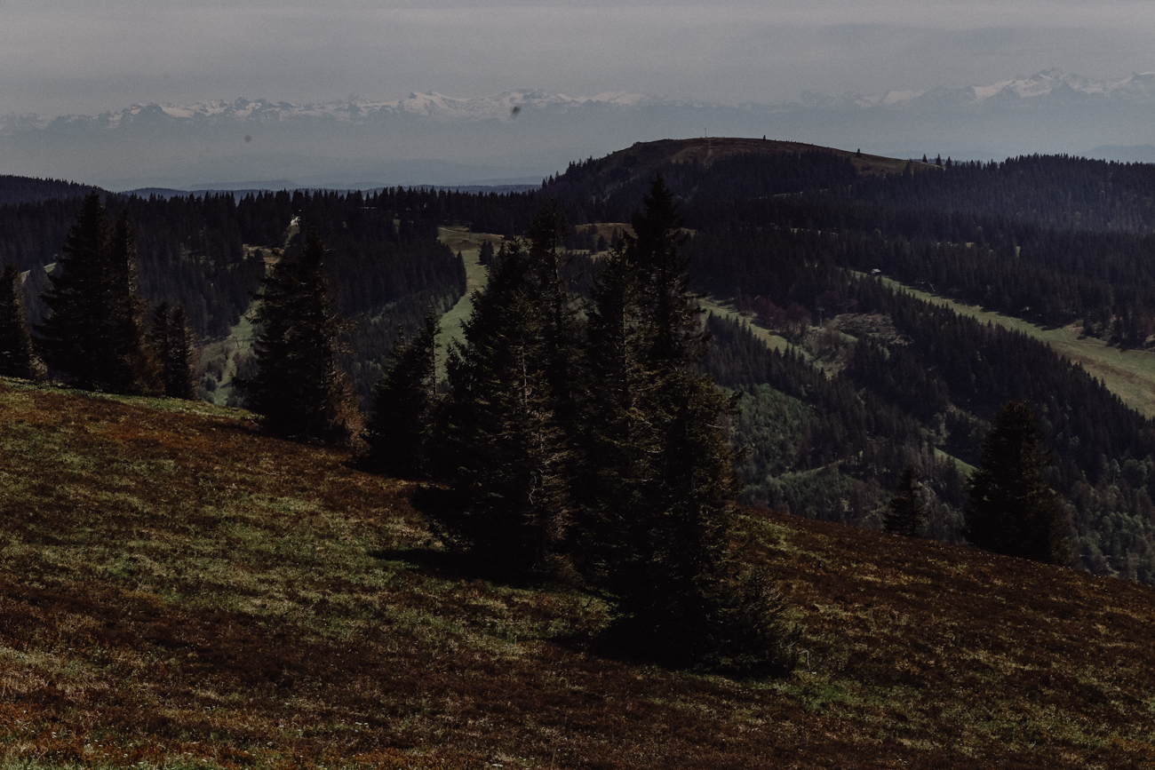Wandern Schwarzwald Feldberg Feldbergsteig