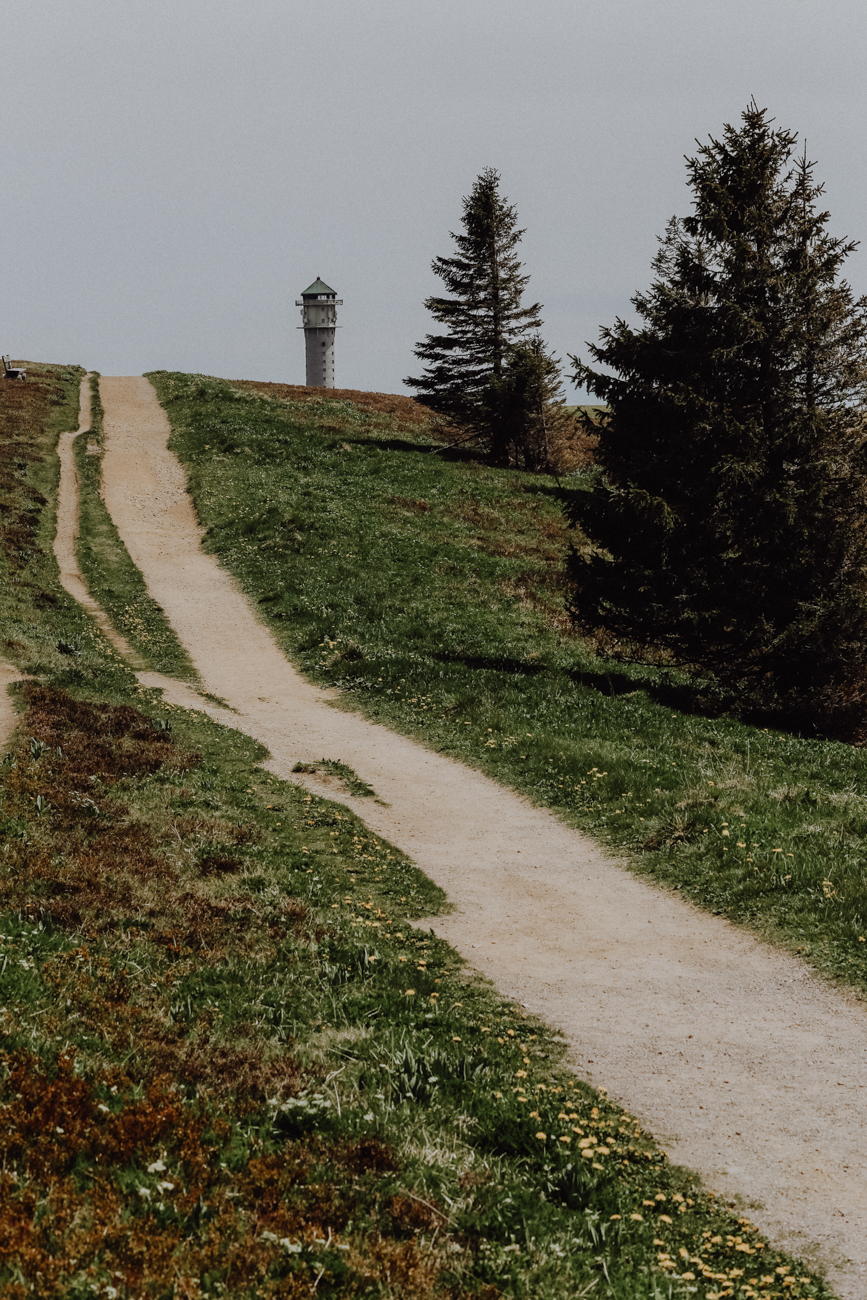Wandern Schwarzwald Feldberg Feldbergsteig