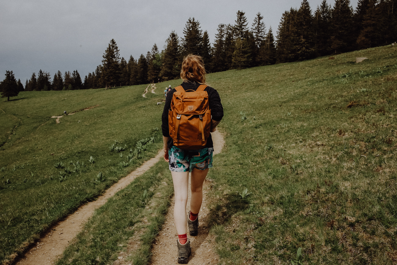 Wandern Schwarzwald Feldberg Feldbergsteig