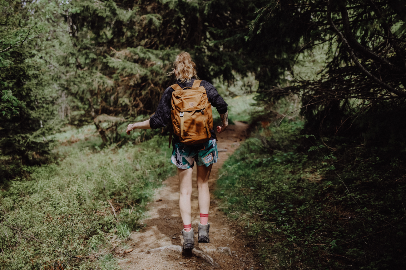 Wandern Schwarzwald Feldberg Feldbergsteig