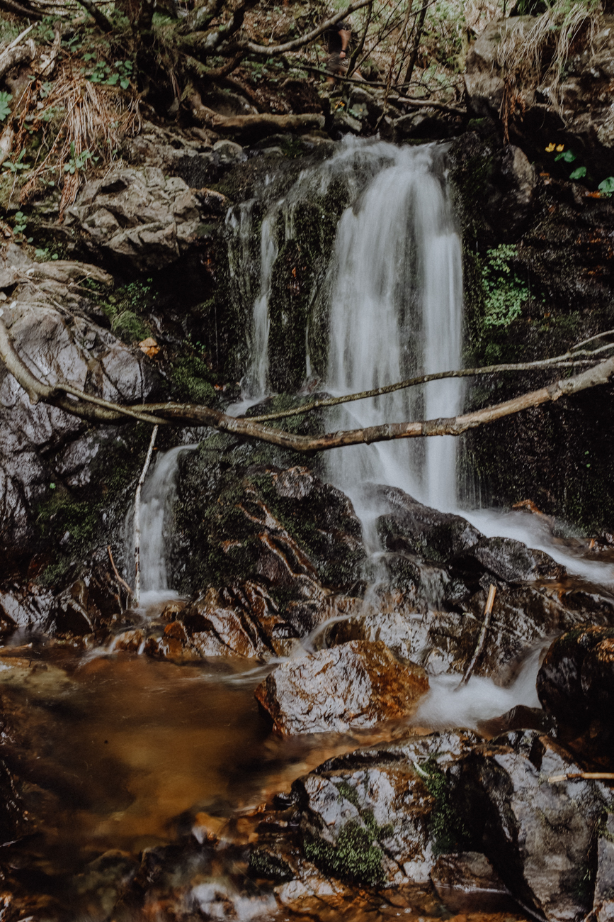 Wandern Schwarzwald Feldberg Feldbergsteig