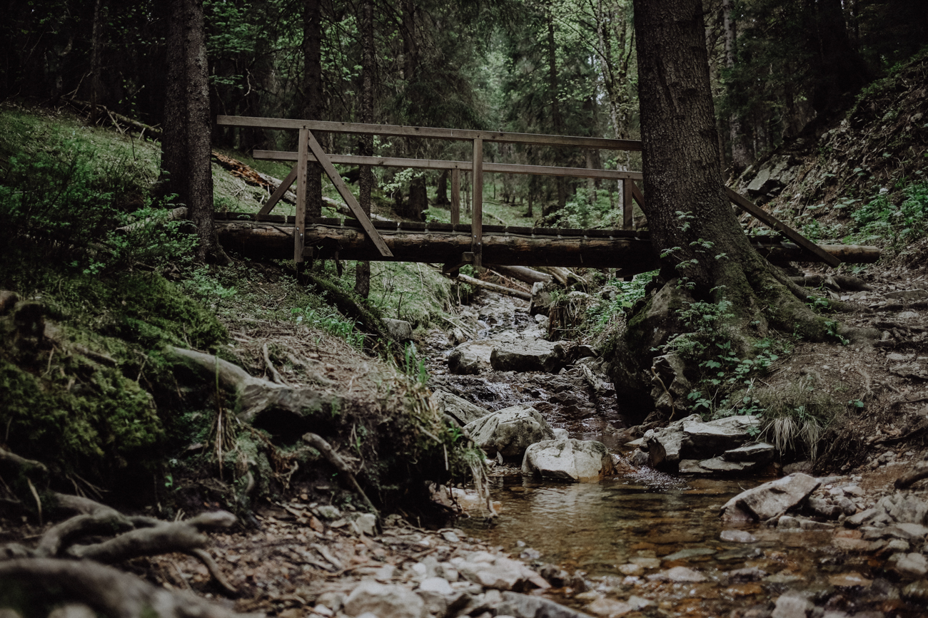 Wandern Schwarzwald Feldberg Feldbergsteig