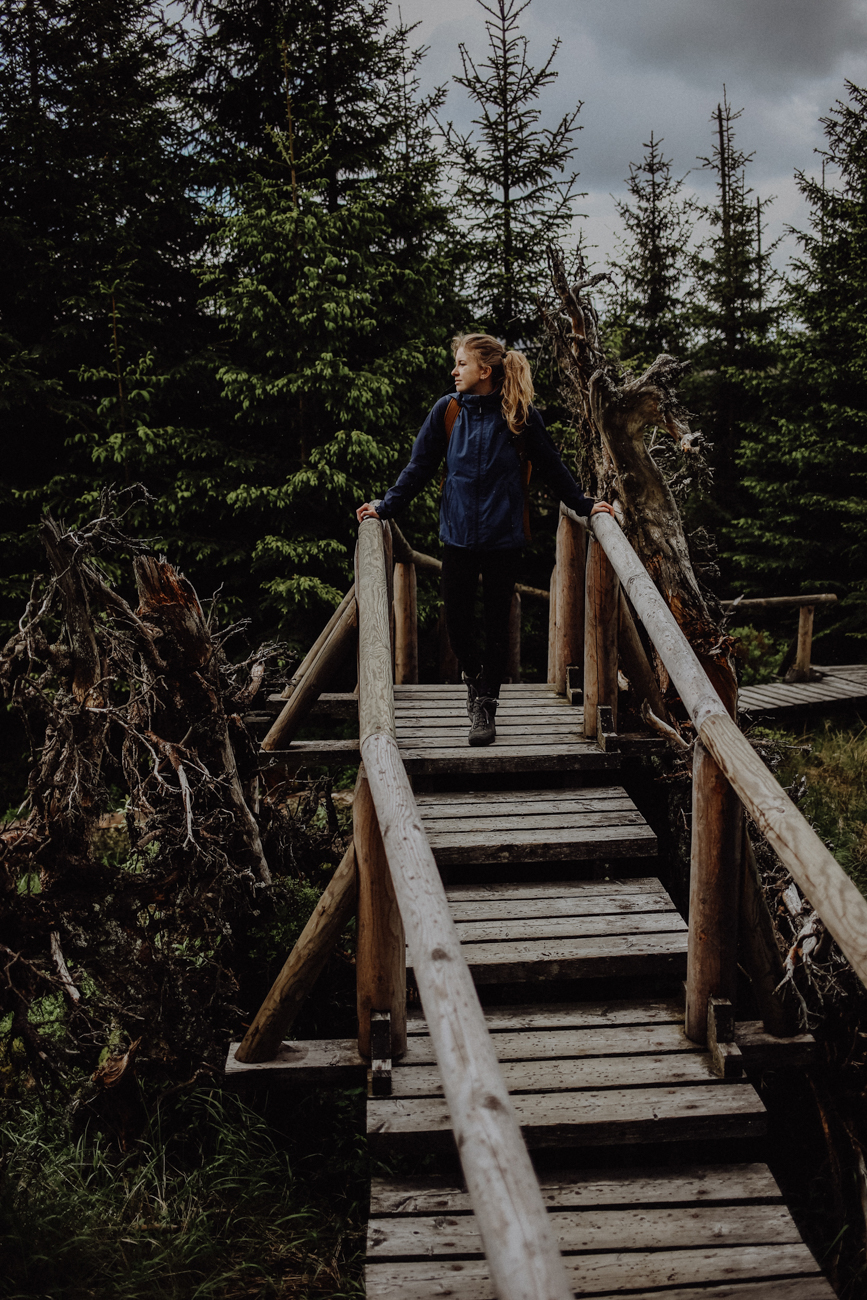 Wandern Harz Torfmoor WaldWandelWeg