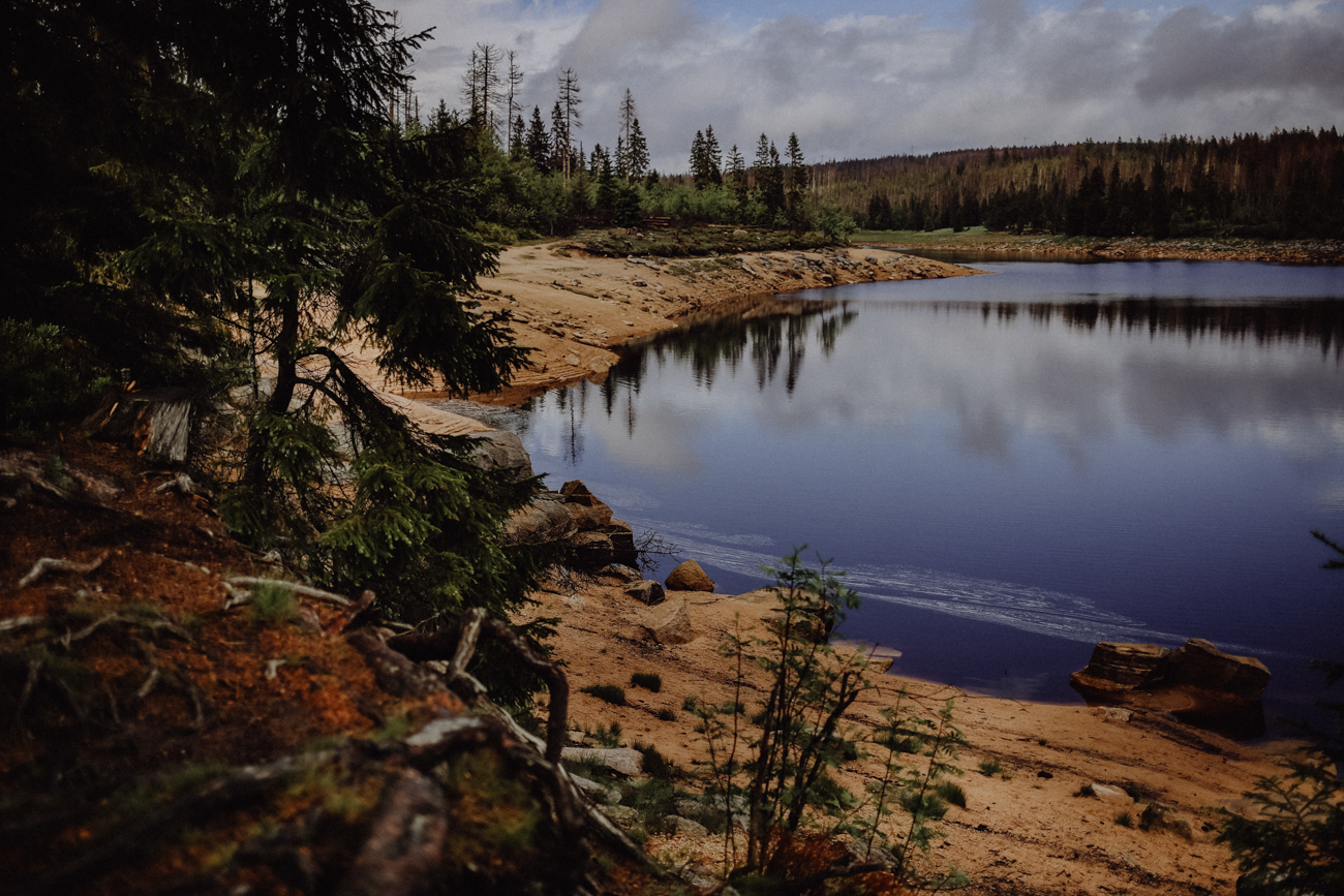 Wandern Harz Oderteich