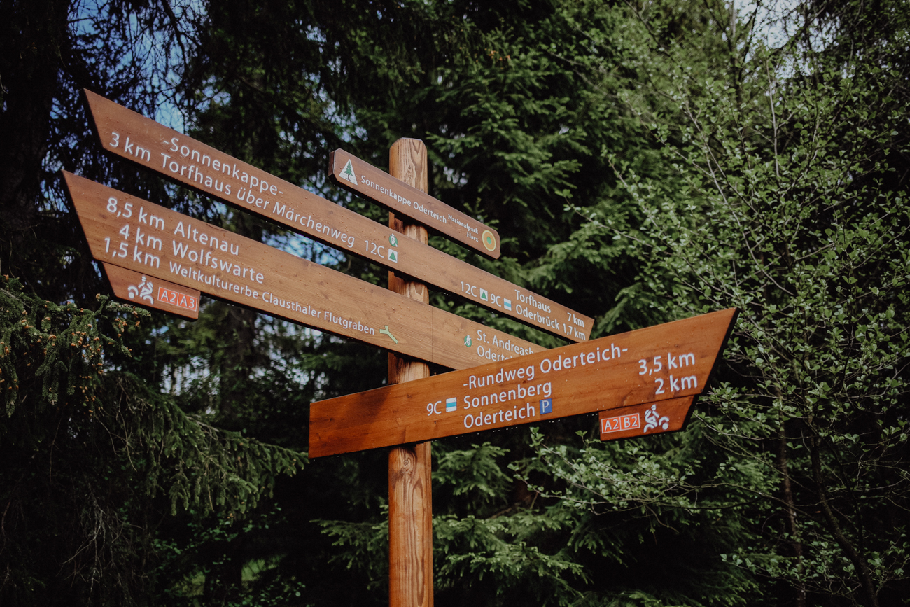 Wandern Harz Oderteich