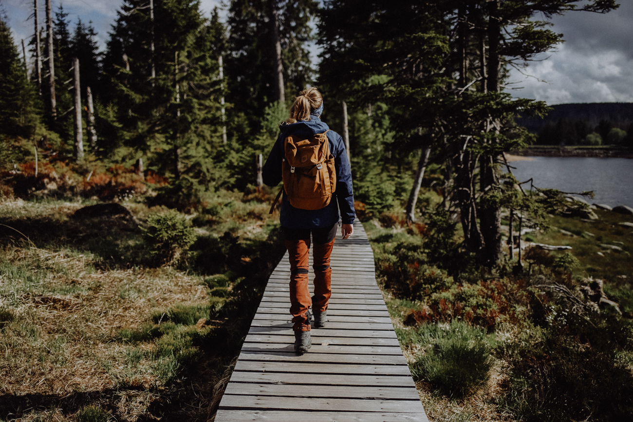 Wandern Harz Oderteich