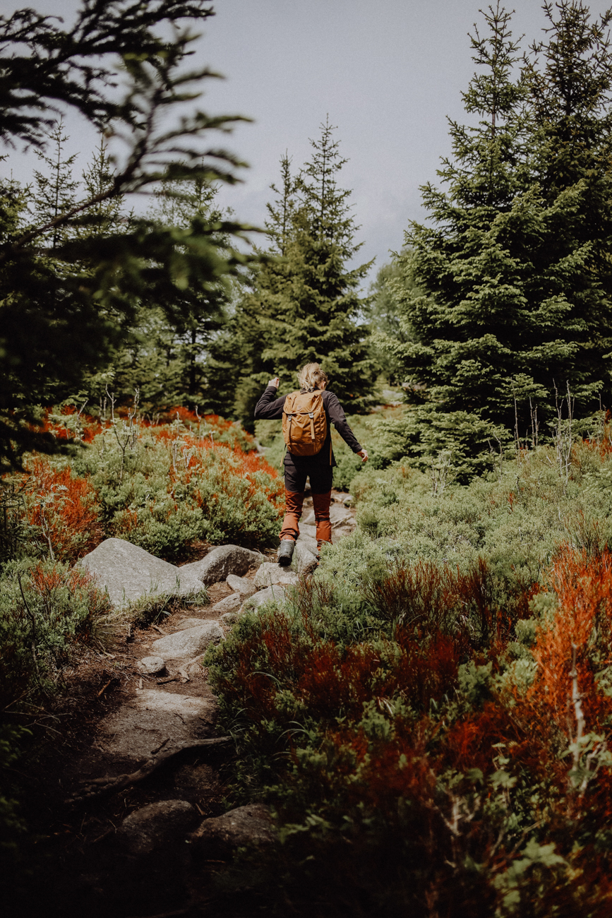 Wandern Harz Schierke