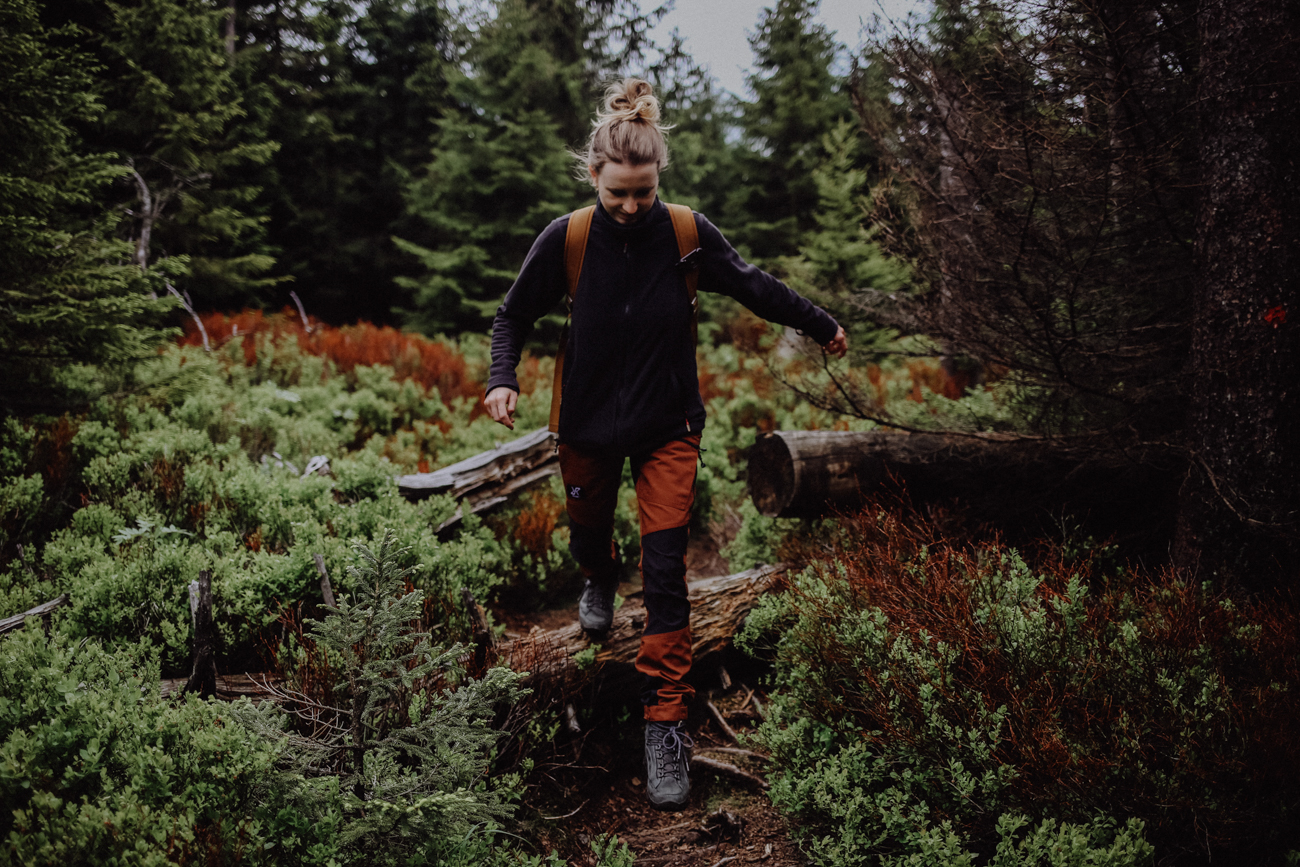 Wandern Harz Schierke