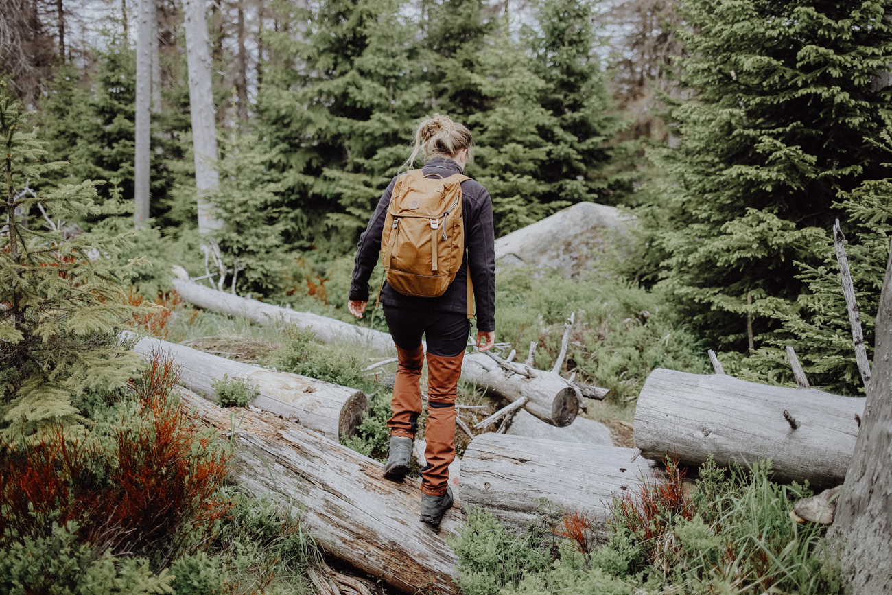 Wandern Harz Schierke Eulenstieg