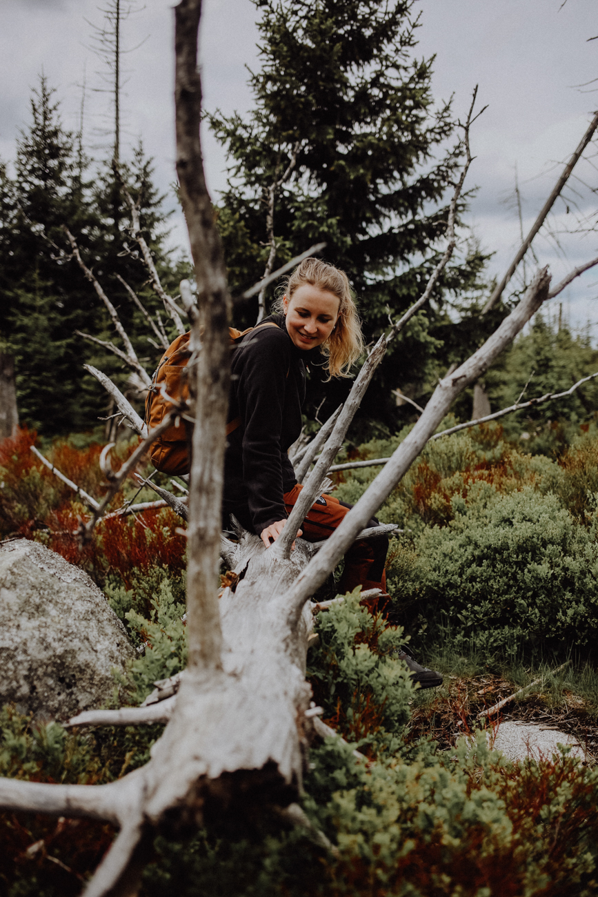 Wandern Harz Schierke Eulenstieg