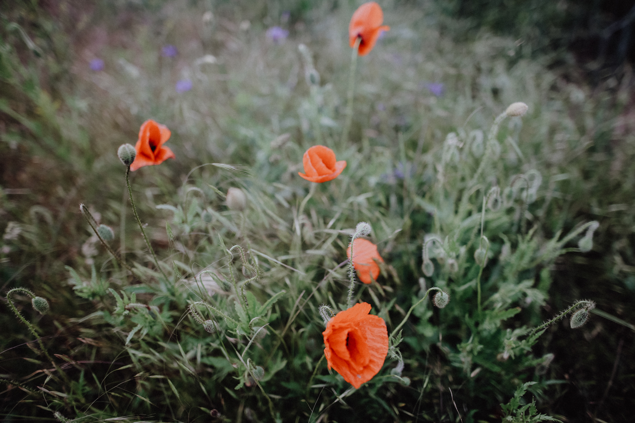 Wandern Harz Teufelsmauer
