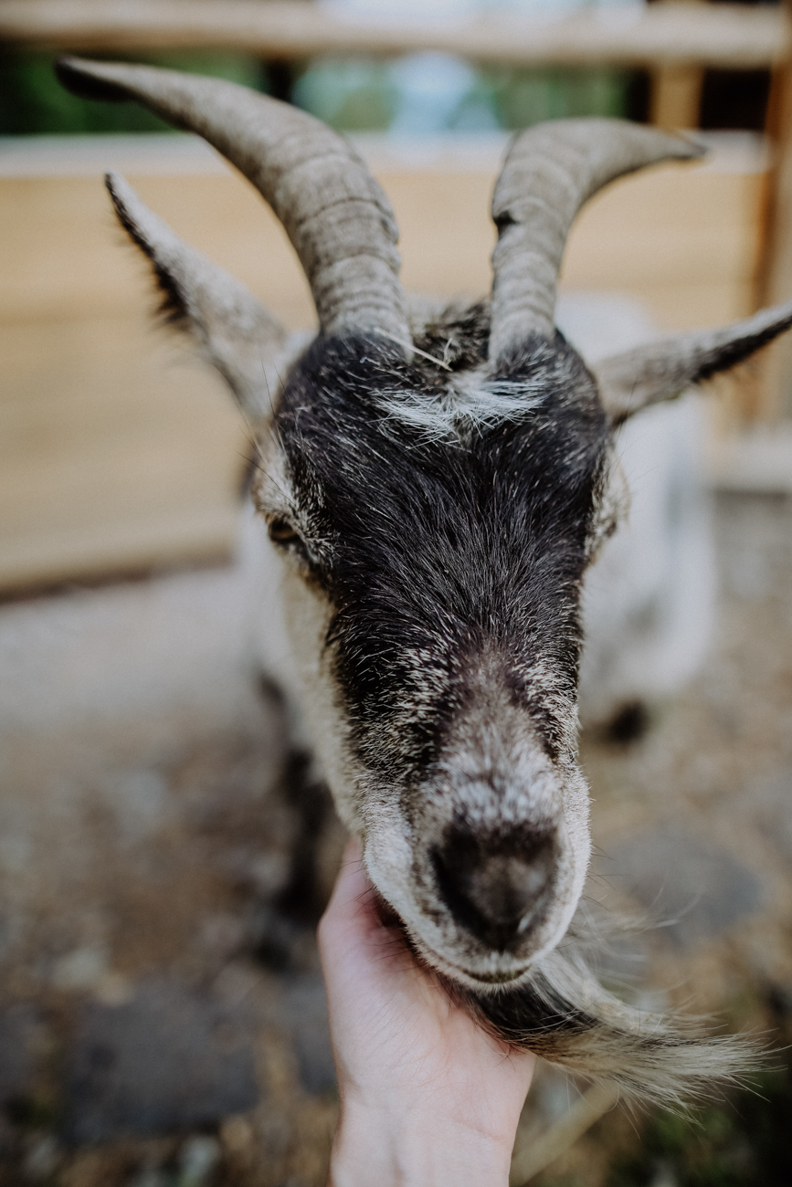 Wandern Harz Teufelsmauer