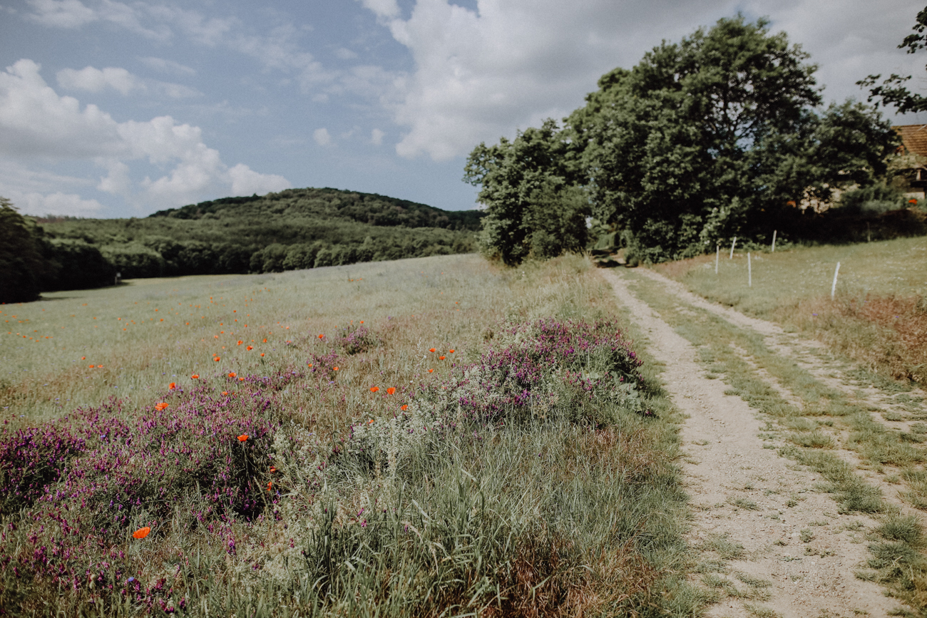 Wandern Harz Teufelsmauer