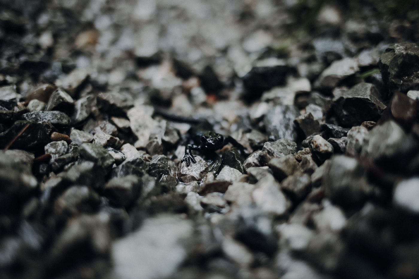 Wandern Allgäu Breitachklamm