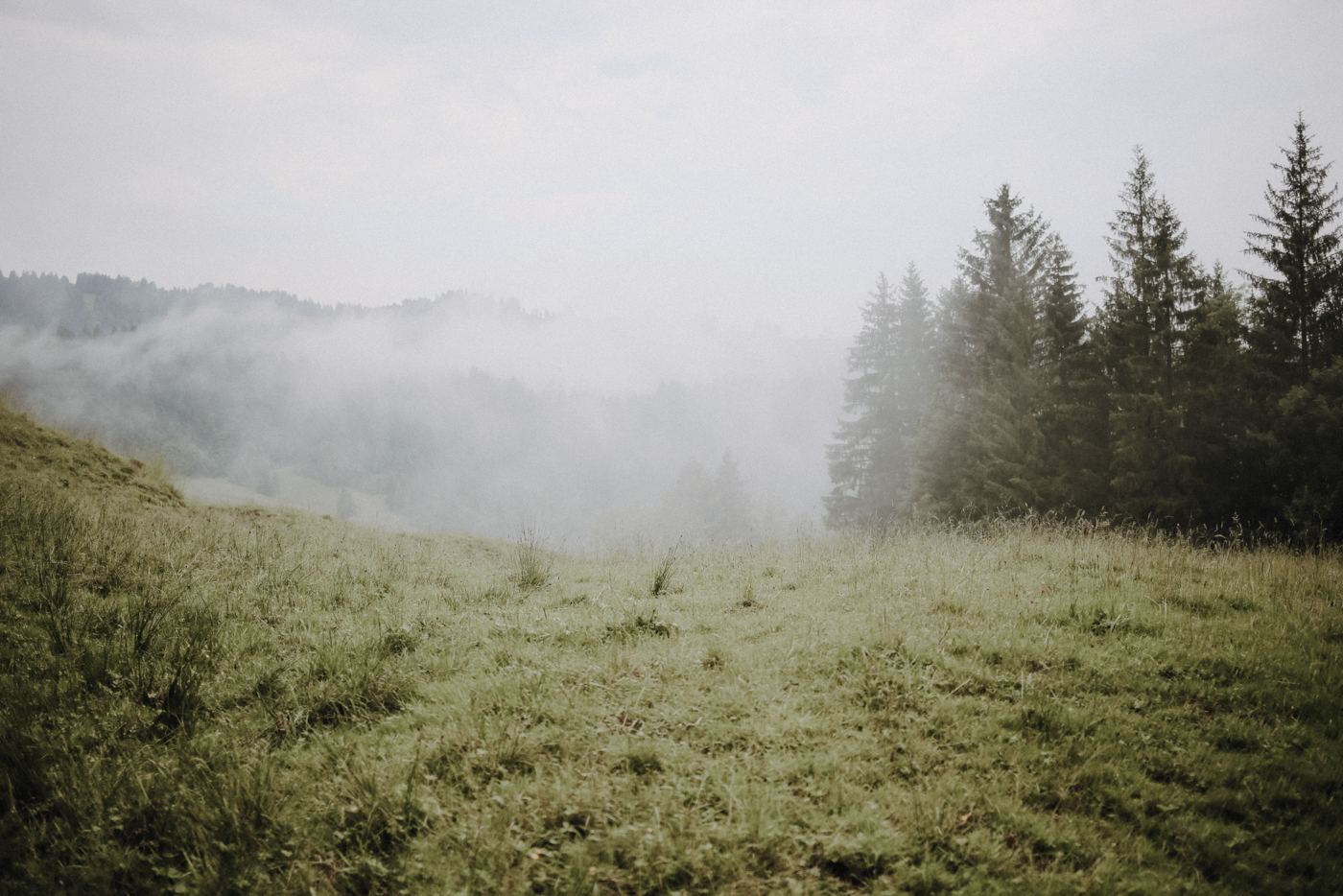 Wandern Allgäu Buchenegger Wasserfälle