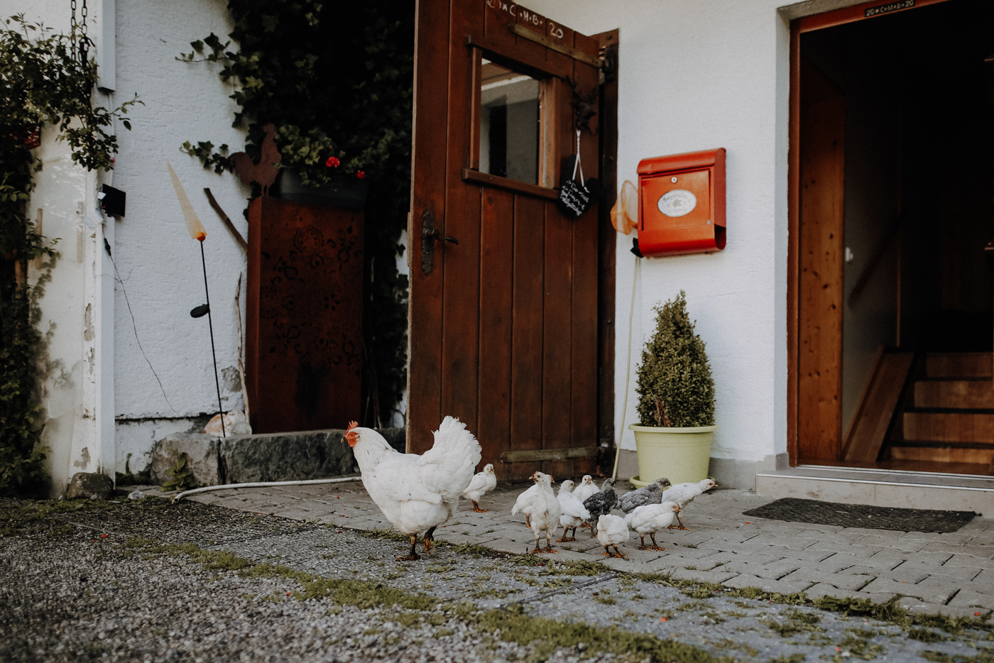 Wandern Allgäu Stillachtal Rappenalptal