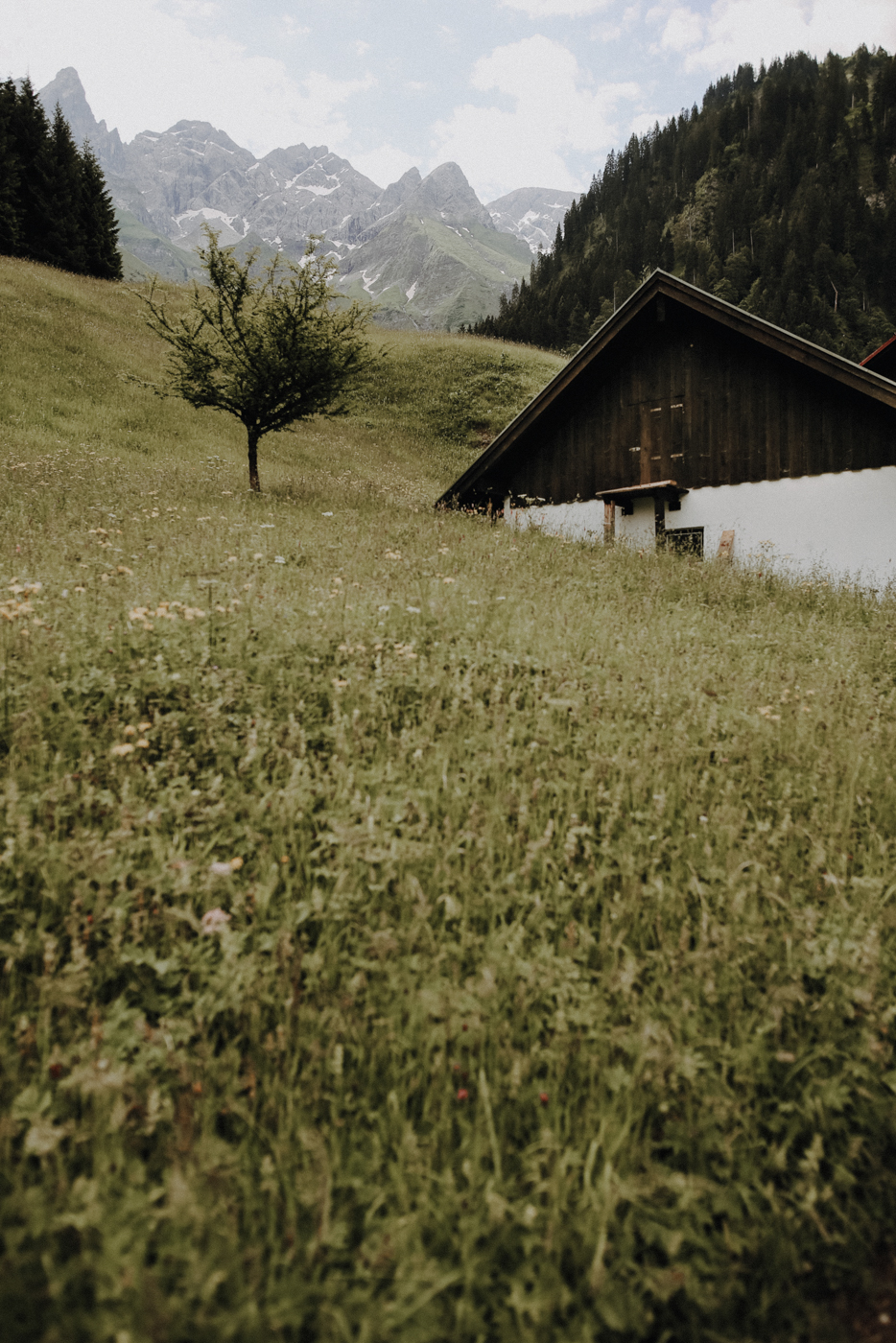 Wandern Allgäu Stillachtal Rappenalptal
