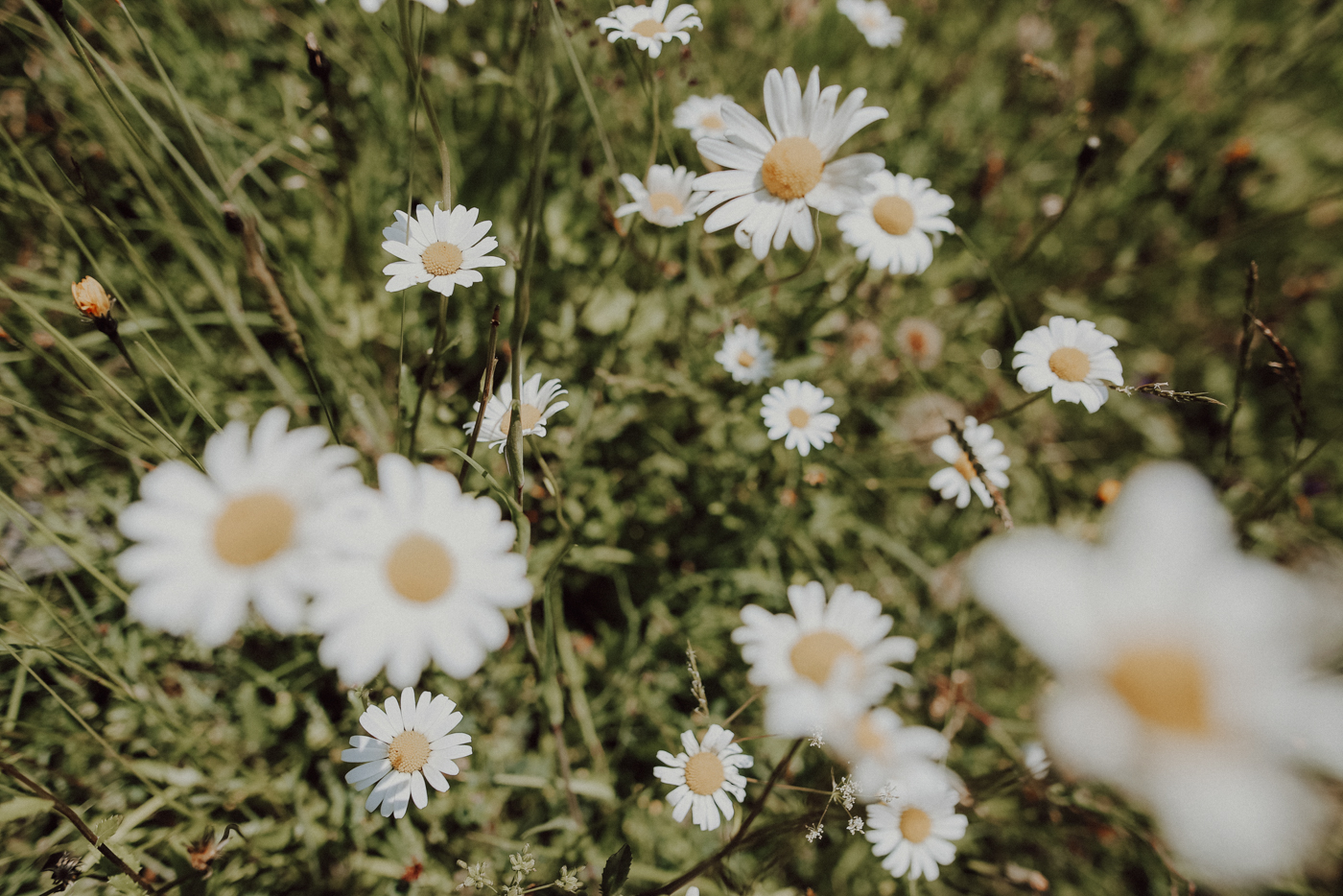 Wandern Allgäu Gaisalpsee