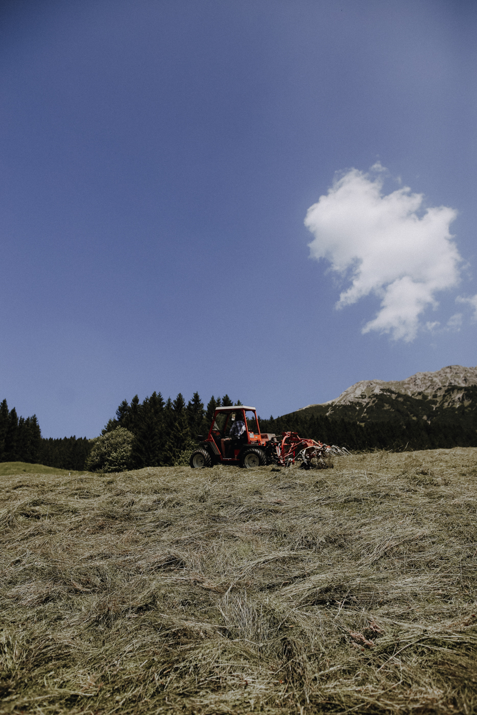 Wandern Allgäu Gaisalpsee Gasthof Gaisalpe