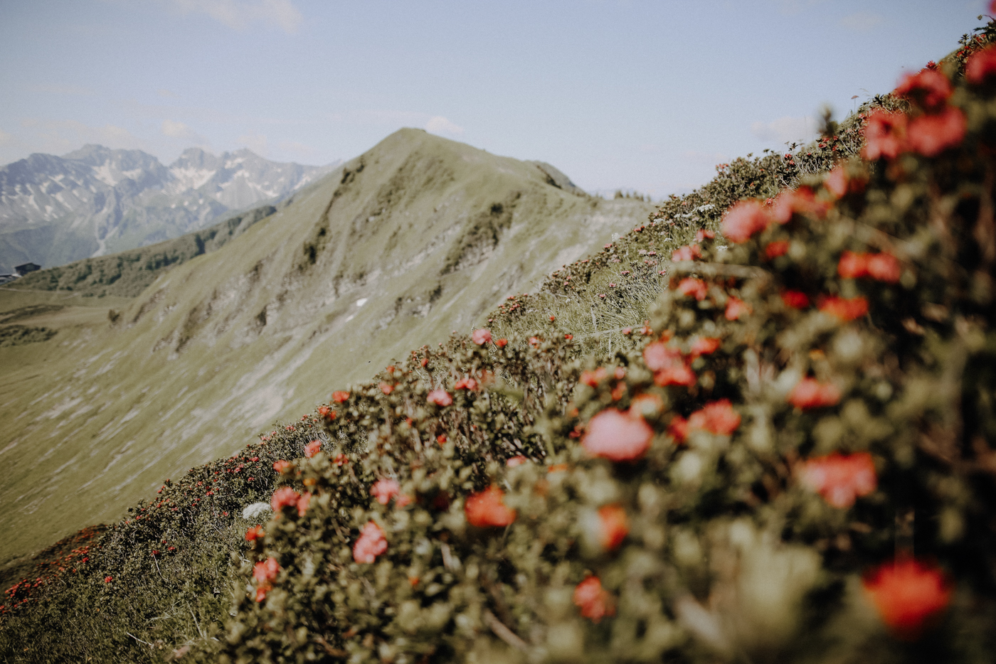 Wandern Allgäu Fellhorngrat