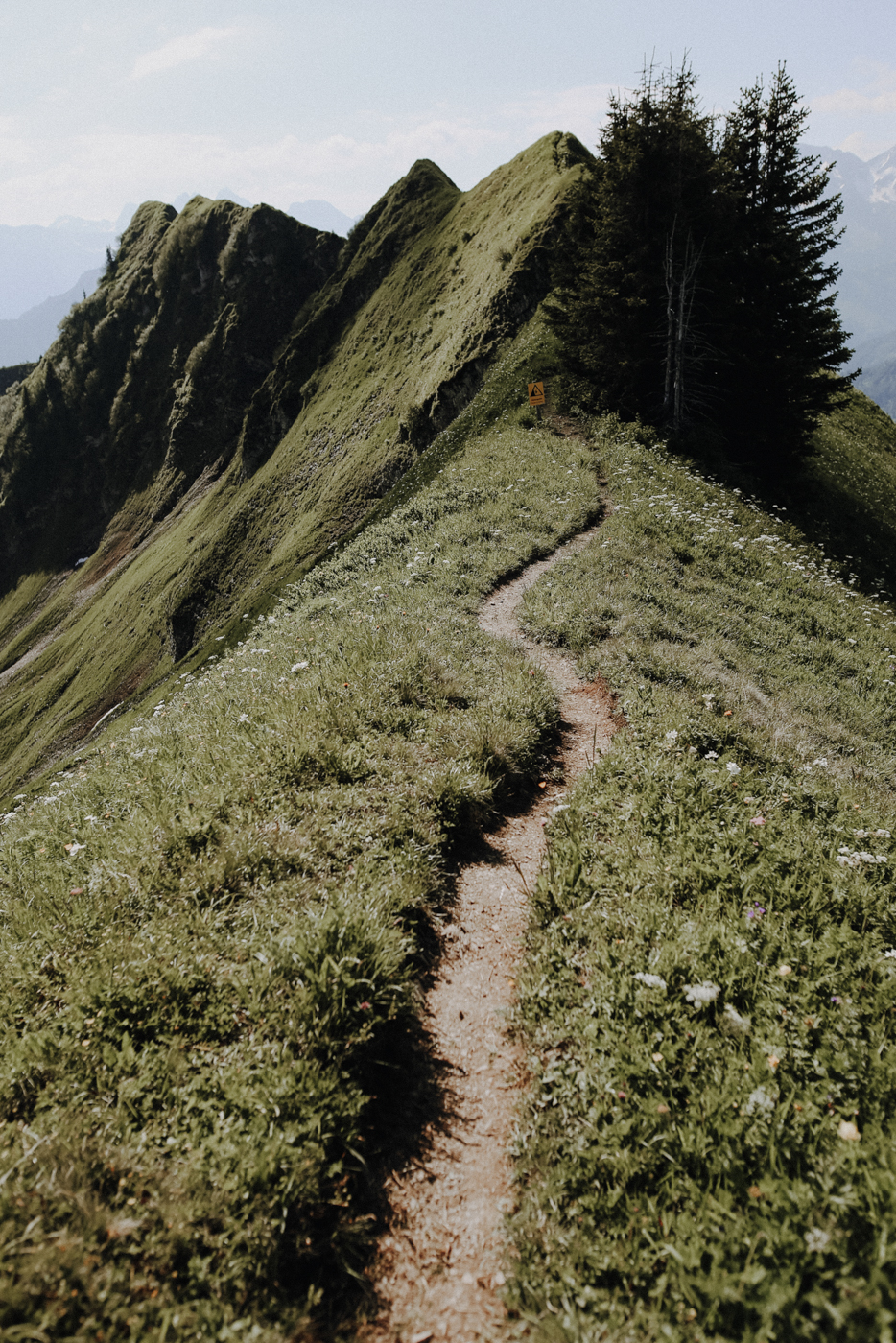 Wandern Allgäu Fellhorngrat