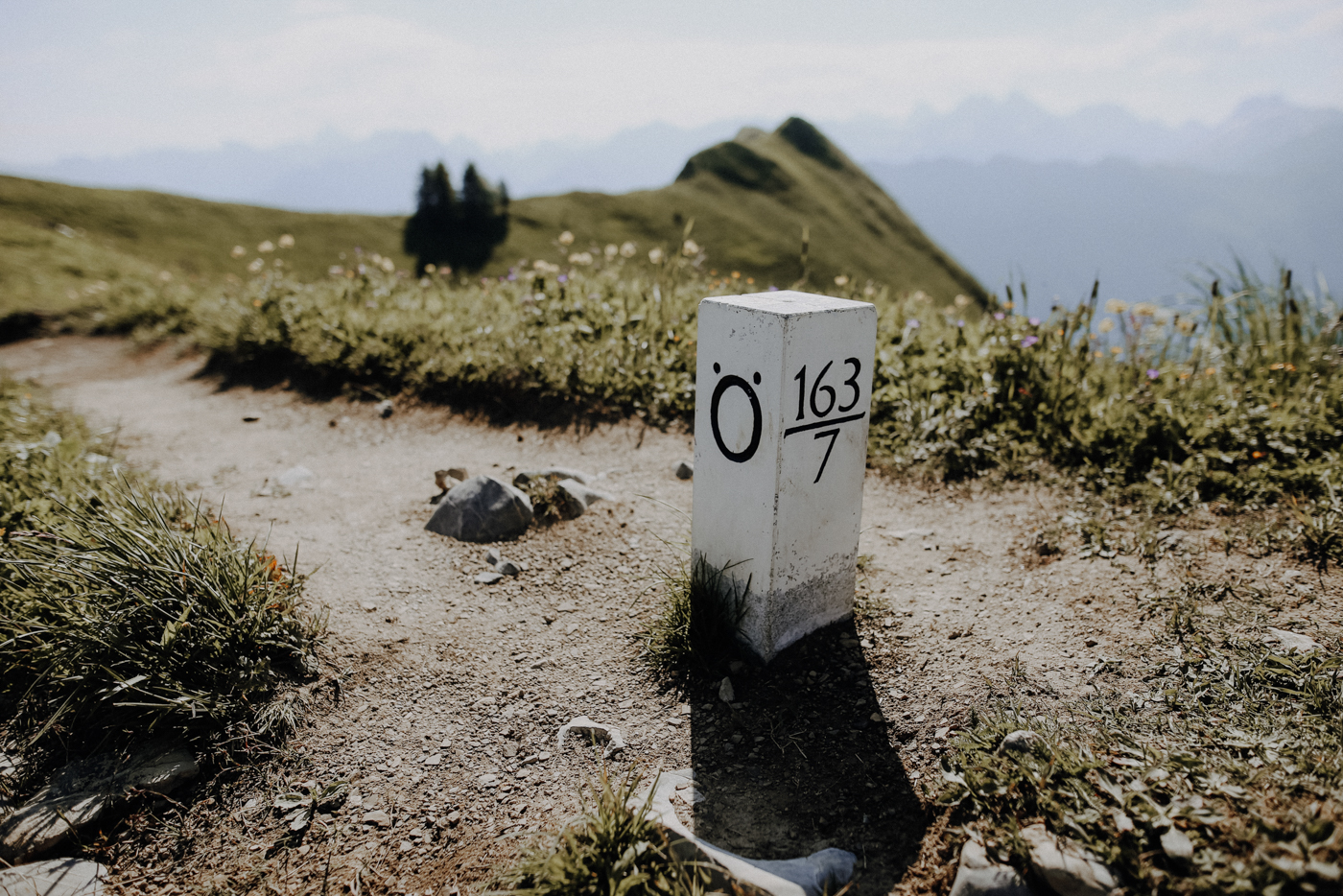Wandern Allgäu Fellhorngrat