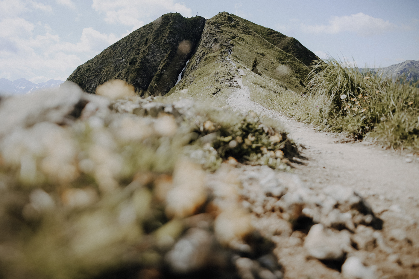Wandern Allgäu Fellhorngrat