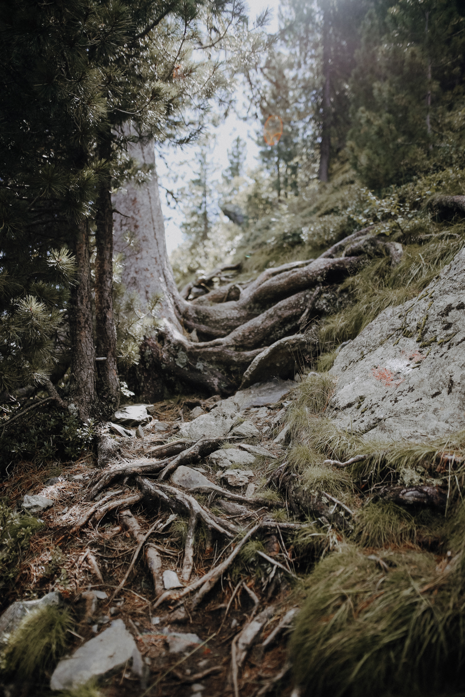 Nockberge Kärnten Wandern Falkert Falkertsee